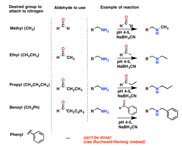 Reductive Amination — Master Organic Chemistry